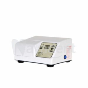Dentalium D
