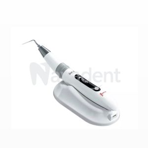 Woodpecker Endo 3