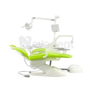 DENTUS 3006ORTHO
