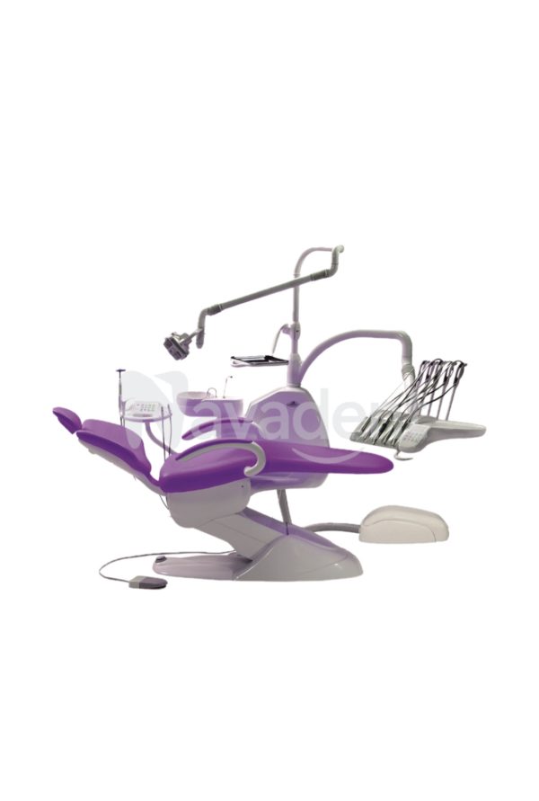 DENTUS 3006T5
