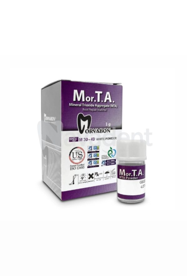 Mor.T.A (MTA)