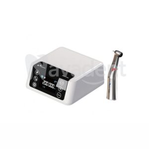 Eighteeth E Asp1